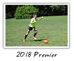 2018 Premier